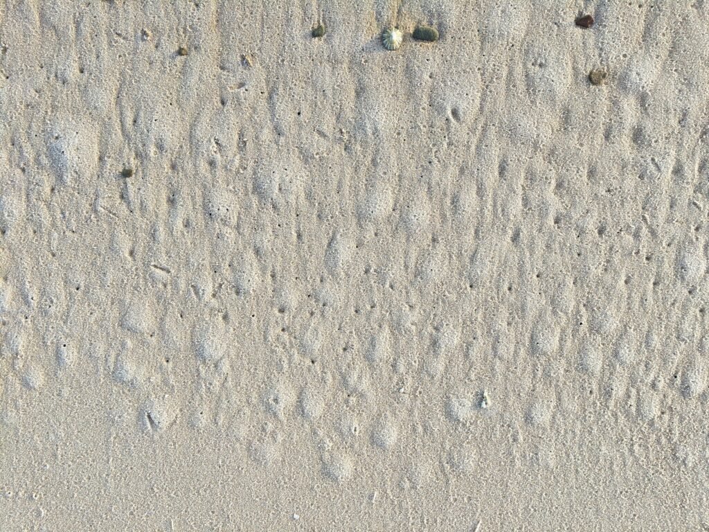 skim coating mistakes