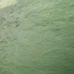 Necessary Tools and Materials for Efficient Skim Coating