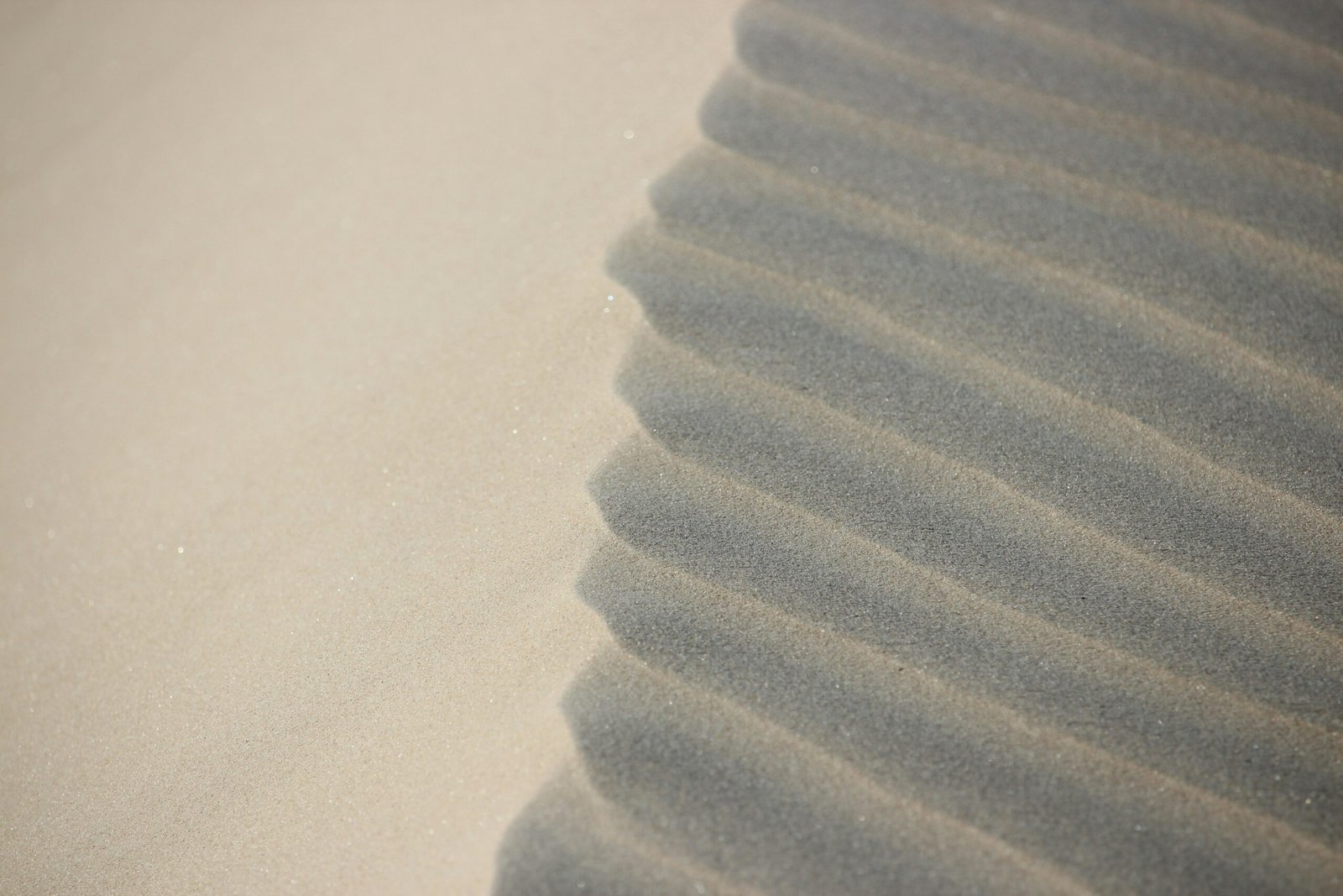 commercial skim coat speed