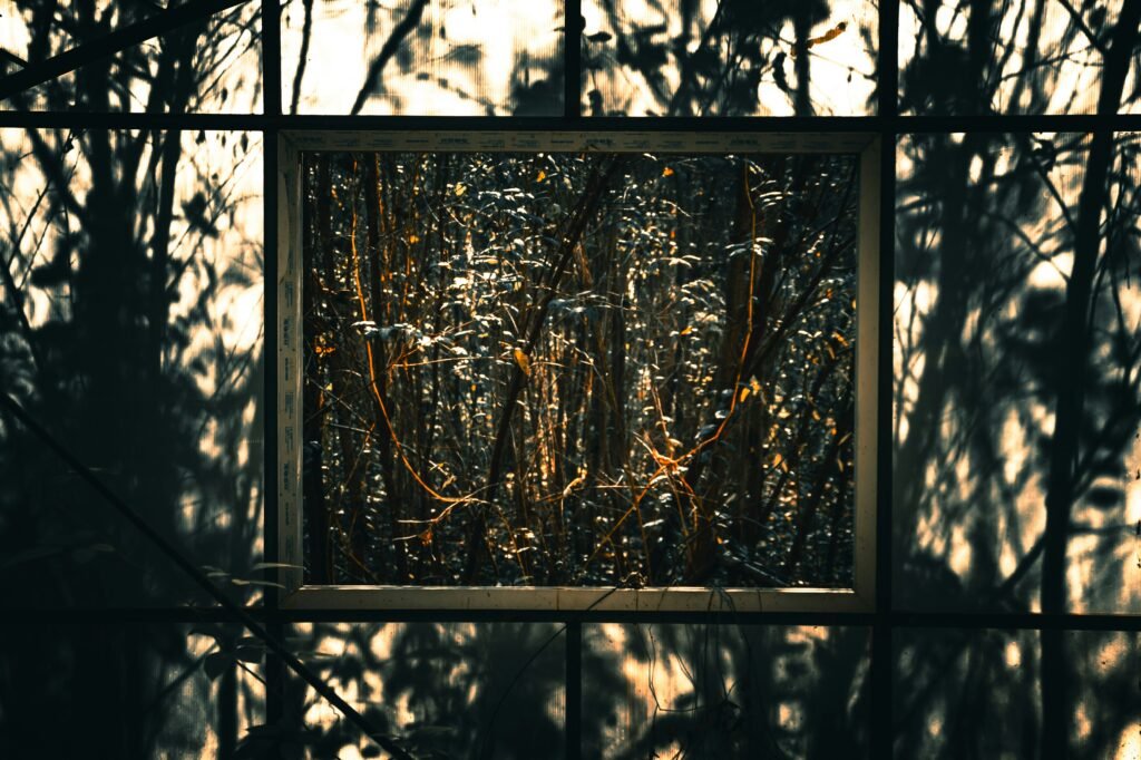 eco-friendly construction framing